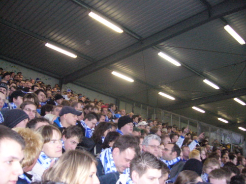 Arminia Bielefeld - VfL Bochum - photo